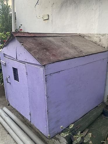 pendir: Quşxananın içine 70 yaxn auş geder polnu - Material: qalın taxta/panel — 3