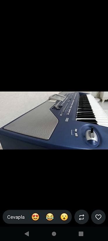 nerd taxta qiymetleri: Korg PA800 603 seri 256 RAM LED EKRAN HEÇ BİR PURABLEMİ YOXDUR barter — 3
