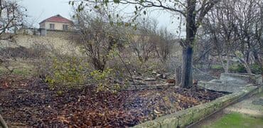 ferma torpaq: 13 sot, Tikinti, Makler, Kupça (Çıxarış) — 2