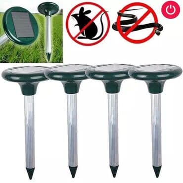 ilan gülü: İlan qovan, Yeni, Pulsuz çatdırılma — 1