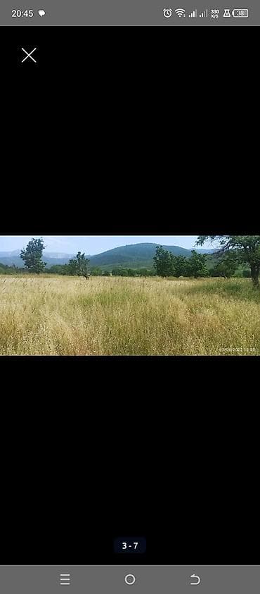 kurdaxanida heyet evleri: Kənd təsərrüfatı — 5