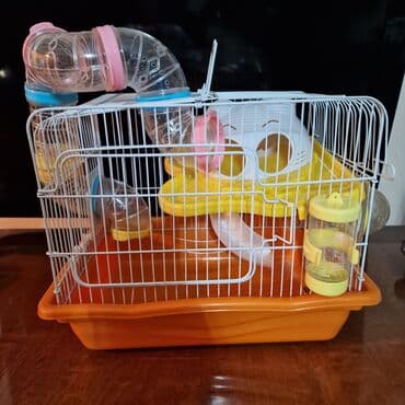 большая клетка для кролика: Xomyak ucun qefes — 2