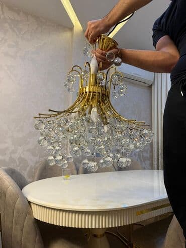 Biologiya: Çılçıraq, 10 və daha çox lampa, Metal — 3