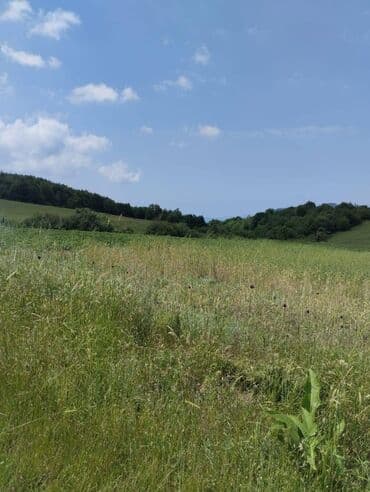 yasmada torpaq sahesi satilir: 362 sot, Biznes üçün, Mülkiyyətçi, Kupça (Çıxarış) — 1