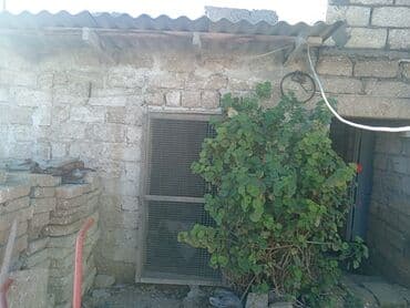 аренда земли под шиномонтаж: Satılır: təsərrüfat/tikinti üçün yardımçı tikili və həyət sahəsi — 3