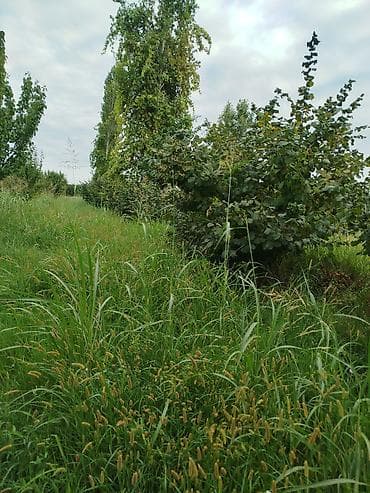 1 комната квартира снять: Для сельского хозяйства — 3