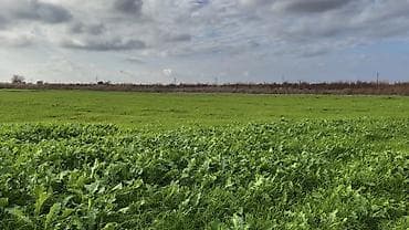 Torpaq əkin və digər kənd təsərrüfatı işləri üçün yararlıdır. 7/24 su