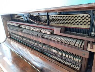 Аккордеоны: Пианино, Акустический, Б/у, Самовывоз — 7