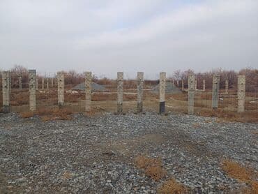 bine qesebe: 8 sot, Tikinti, Makler, Kupça (Çıxarış) — 2