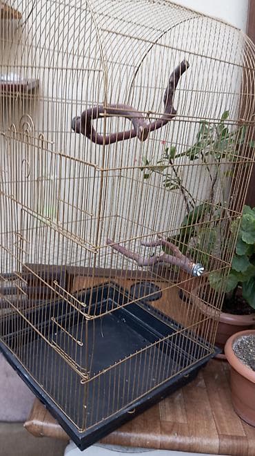 Qəfəslər: Quş qəfəsi – geniş və praktik - Material: metal barmaqlıqlı, qızılı — 7