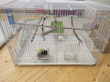 quş yemi: Quş qəfəsi boyuk yeni kimidir. 60/40/40 uzerinde aksesuarlari verilir — 2