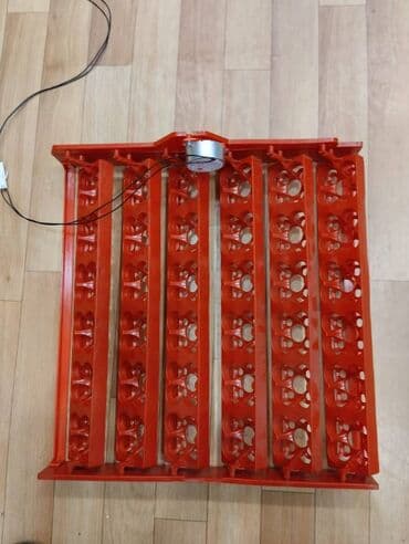 inkubator latoku: İnkubator üçün matorlu latoklar 36 toyuq yumurtasi 144 bildirçin — 1