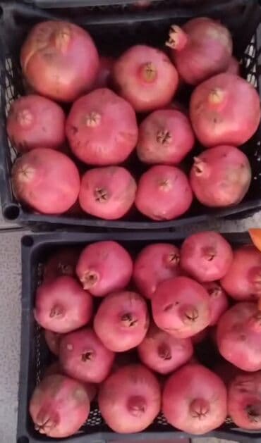 бак для воды в квартиру: Təzə nar satılır. Nə qədər istəsəniz var — 3