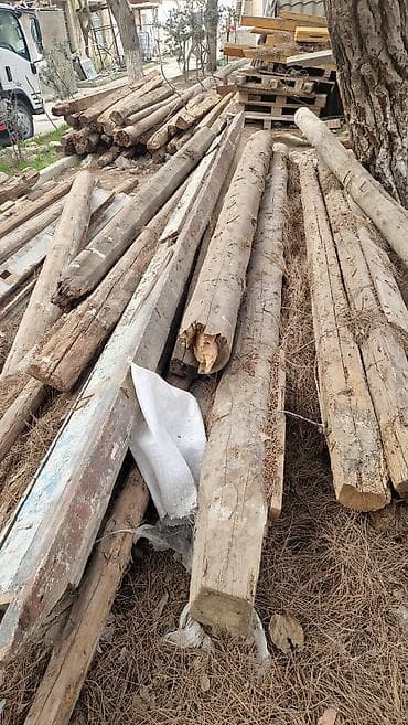 taxtalar 5 15: Taxta dirəklər və şalbanlar - Məhsul: Taxta dirək və şalbanlar — 1