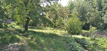 объявления о продаже земельных участков: 10 соток, Для сельского хозяйства — 14