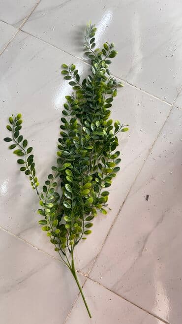 марал гель кыргызстан: Depodanbi̇r başa satiş — 4