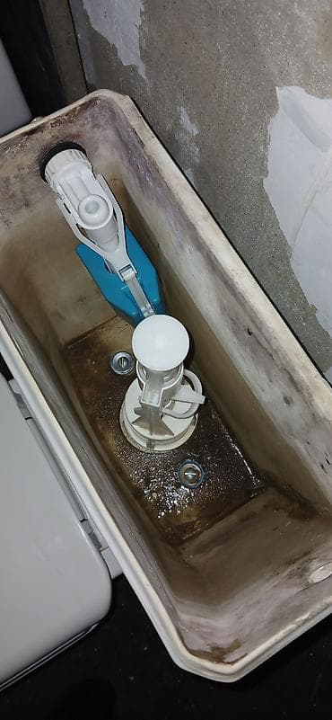 Tualet çanağı – monoblok, su baklı model - Brend: Classo (bakın — 4
