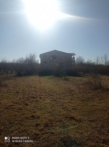 qebelede torpaq: 15 sot, Kənd təsərrüfatı, Mülkiyyətçi, Kupça (Çıxarış) — 3