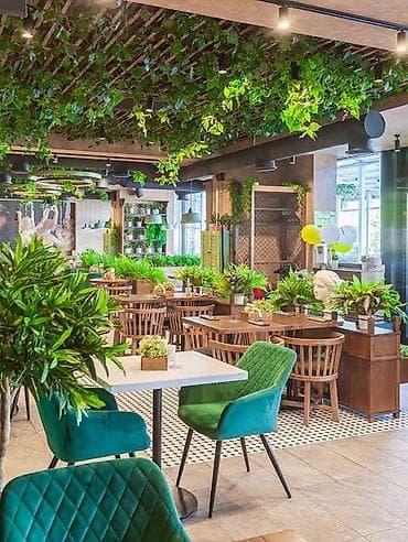 Green House Azerbaijan. Dekor interyer Kafe×restoranlar üçün