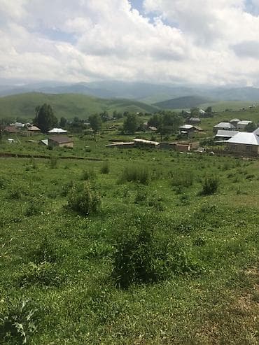 5 sot, Tikinti, Barter mümkündür, Kupça (Çıxarış)