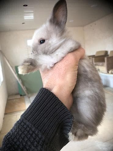 Real alıcıya endirim var vp aktivdi