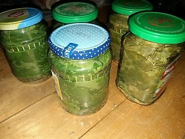 Şirniyyat məhsulları: Sade ag wane yarpaqlari tuklu iri deyil. Bir banka 5 azn. Cubugu ile — 2