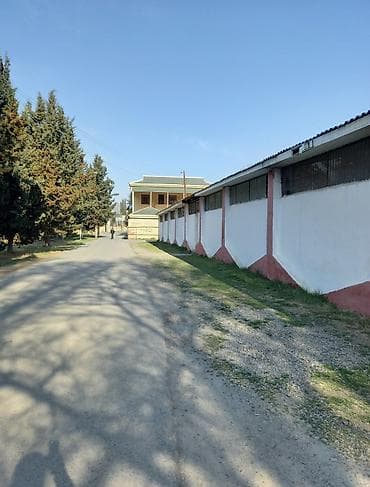 İcarəyə/verilişə uyğun qeyri-yaşayış obyekt –