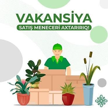 moyka isi 2018: Satış meneceri tələb olunur, Təcrübəsiz — 1