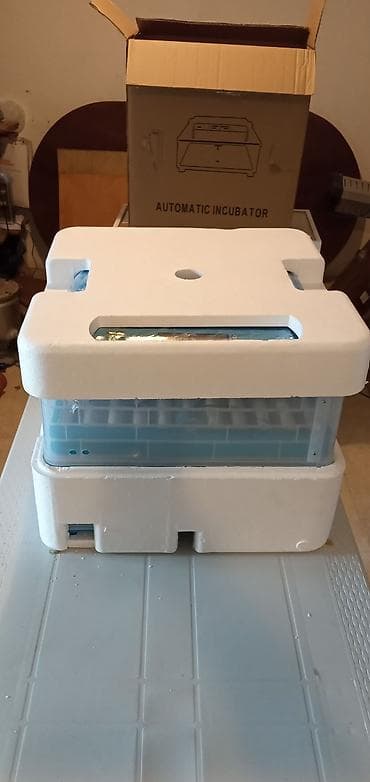 İnkubatorlar: İnkubator, 140 toyuq yumurtası gedir — 2