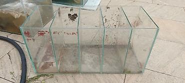 kompressor akvarium: Akvaryum və bölməli yetişdirmə qabları dəsti 2×0.50×0.28 280 litr — 4