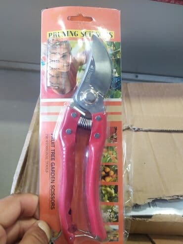 ən yaxşı yonca toxumu: Bağ qayçısı yeni keyfiyyətli madeller çoxdu — 1