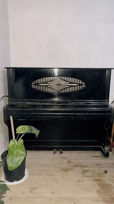 gitara ucun pedal: Piano, Rostov-Don, Akustik — 2