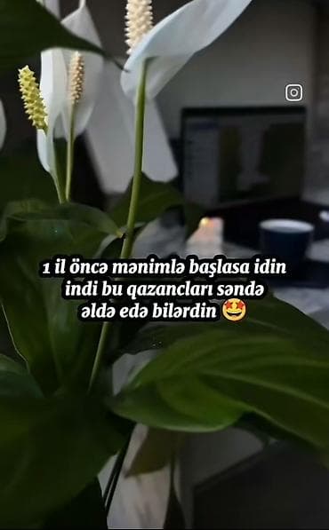 Xarici dil kursları: Onlayn biznes və əlavə gəlir üçün təlim xidməti - Evdən/istənilən — 1