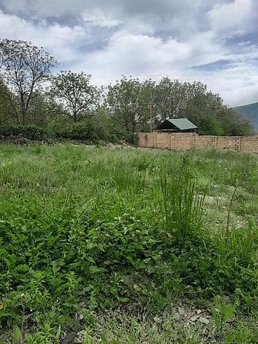 ev bakı: Satış üçün torpaq sahəsi - Yaşıl örtüklü, meşəyə yaxın, təbiətlə — 3