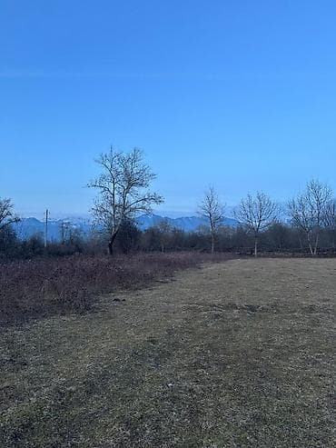 zigda torpaq satisi: 44 sot, Biznes üçün, Barter mümkündür, Kupça (Çıxarış) — 4