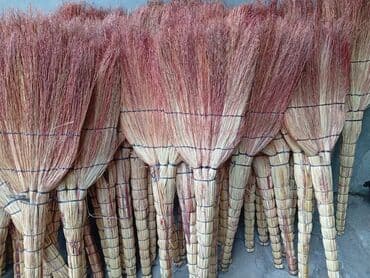 Otaq bitkiləri: Qiymət 2.4 azn.Topdan satış.Ünvan Qazax rayonu,çatdırılma istənilən — 3