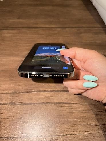 iphone 13 pro max en ucuz: IPhone 13 Pro Max, 128 GB, Gümüşü, Face ID — 3