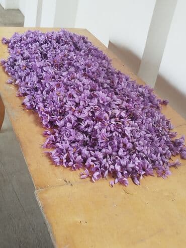 qənd: Quru meyvələr — 9