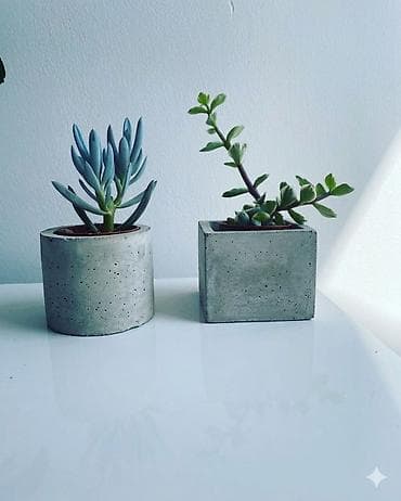 otaq studiya: Beton saksıda sukulentlər – minimal dizayn, müasir interyerlər üçün. 1 — 1