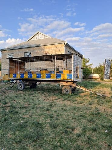 hovo yuk masinlari: Köçəri arıçılıq üçün qoşqu tipli arı pavilonu - İki oxlu qoşqu — 2