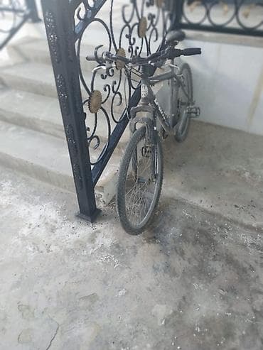 velosiped gəncə: Bianchi Team 1000 dağ velosipedi - Brend/model: Bianchi Team 1000 - — 4