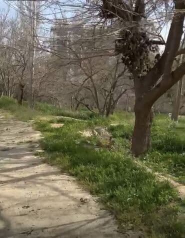 yeni əmlak az: 24 sot, Tikinti, Mülkiyyətçi, Kupça (Çıxarış) — 10