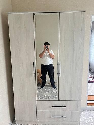 asilqan: 3 qapılı, Güzgülü, Boz, Açılan, Düz dolab — 1