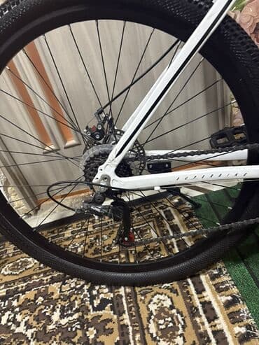 irshad telecom velosiped: Yeni Dağ velosipedi 29", sürətlərin sayı: 21, Pulsuz çatdırılma — 5