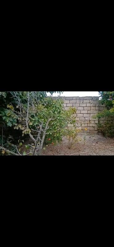 земельный участок в деревне: Для строительства, Собственник — 2