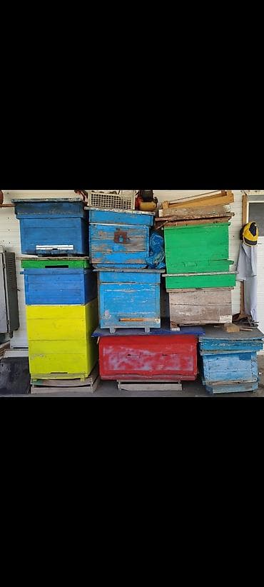 Ucuz qiymətə satılır