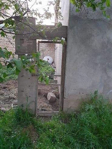 8 sot, Kənd təsərrüfatı, Kupça (Çıxarış) — 3