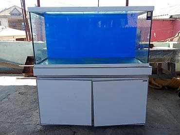 sani kecileri satisi: Böyük ölçülü akvarium komplekti (stendli) - Üst şüşə akvarium — 1