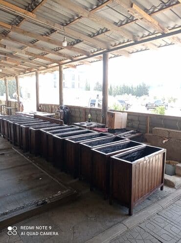 yaz gülləri: ♦️Endrim Yaz ▶️İstenilən modeldə dipçəklər hazırlanır. 🌈İstənilən — 5