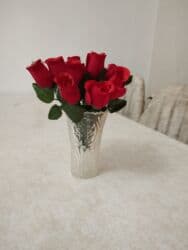 pul gulu cicek aciyor: Gül və güldan plasmasdan — 3